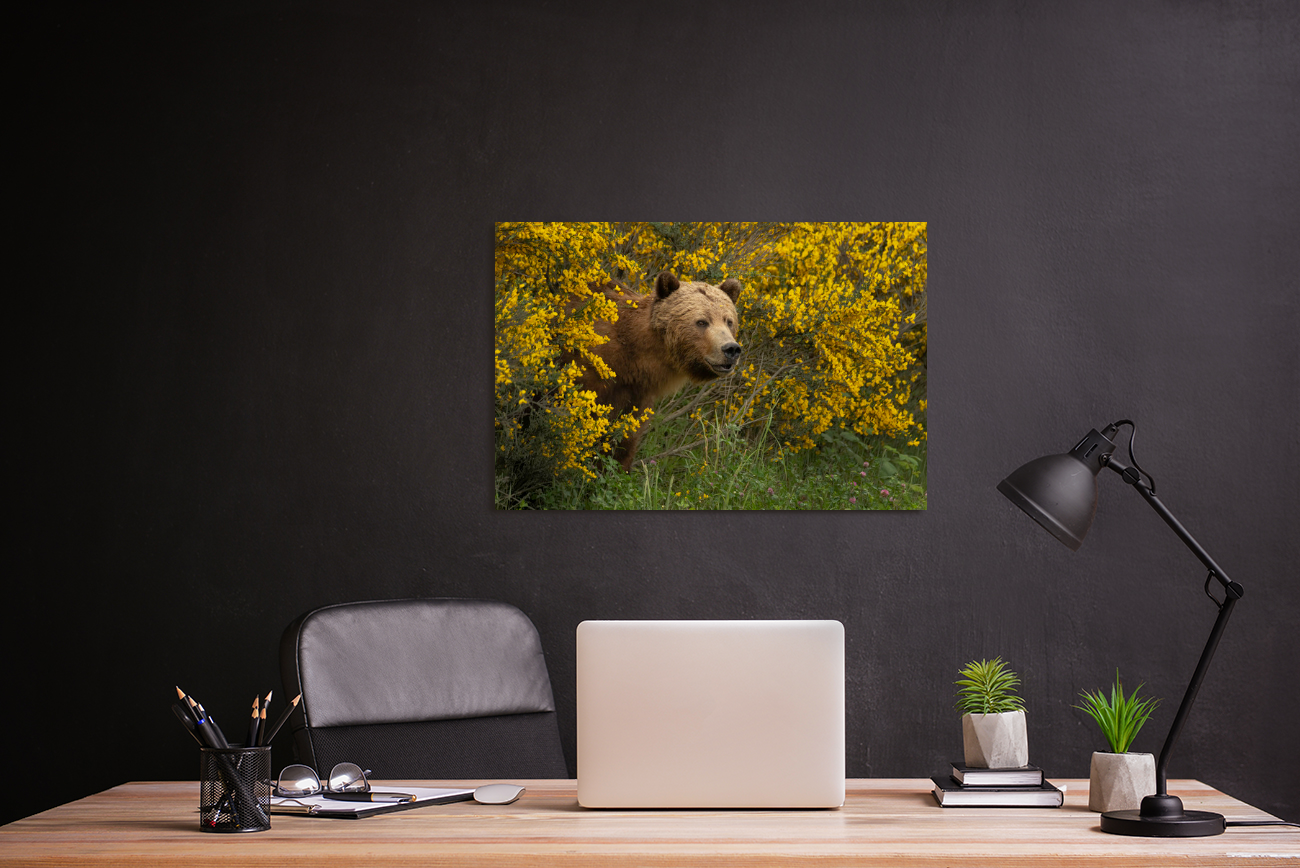 Fotomoods wall hanging print